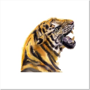 Tiger  portrait Posters and Art